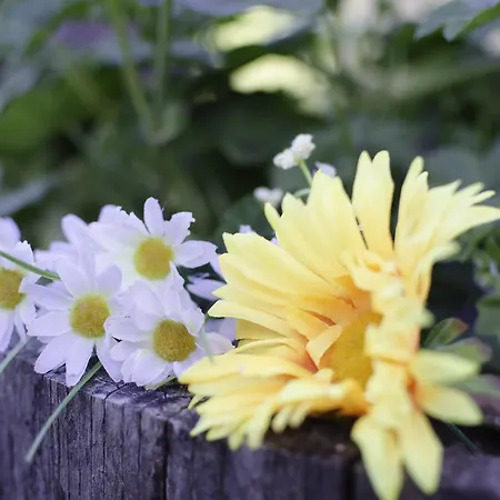 Κατάλυμα σε φάρμα Agriturismo Pompagnano