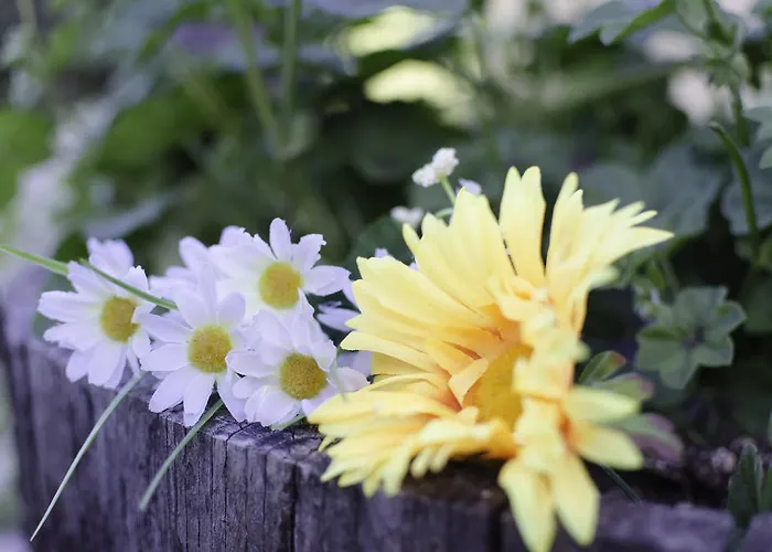 Alojamento de Turismo Rural Agriturismo Pompagnano